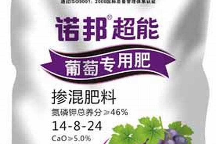 柑橘挂果树和幼树,六月份管理需要注意的问题有哪些？