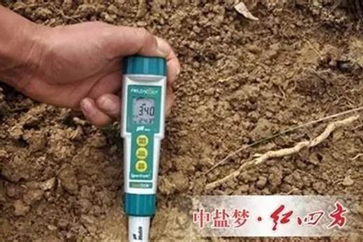 含氯的肥料可不可以用于桃树