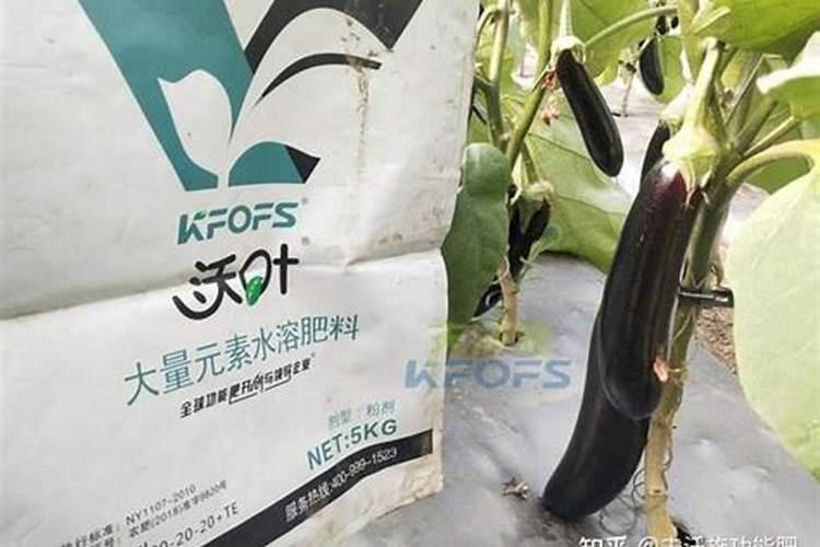 茄子适用哪些肥料