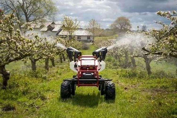 火龙果种植前要施什么肥？