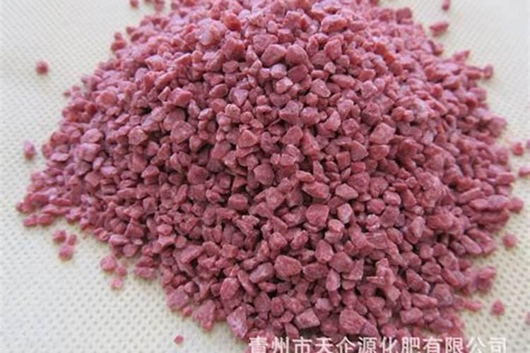 钾肥的肥效是多长时间