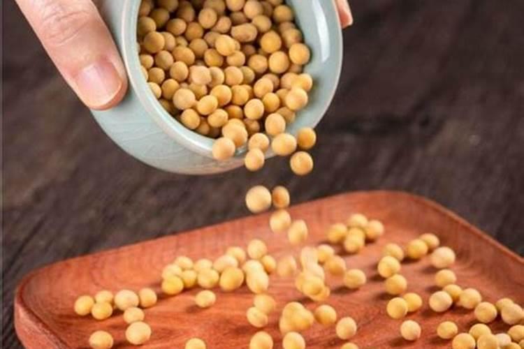 煮熟的豆子能不能做肥料用来种菜