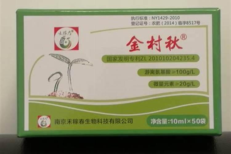 发财树的养殖方法和注意事项