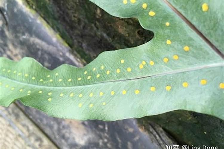 找全国竞赛生物