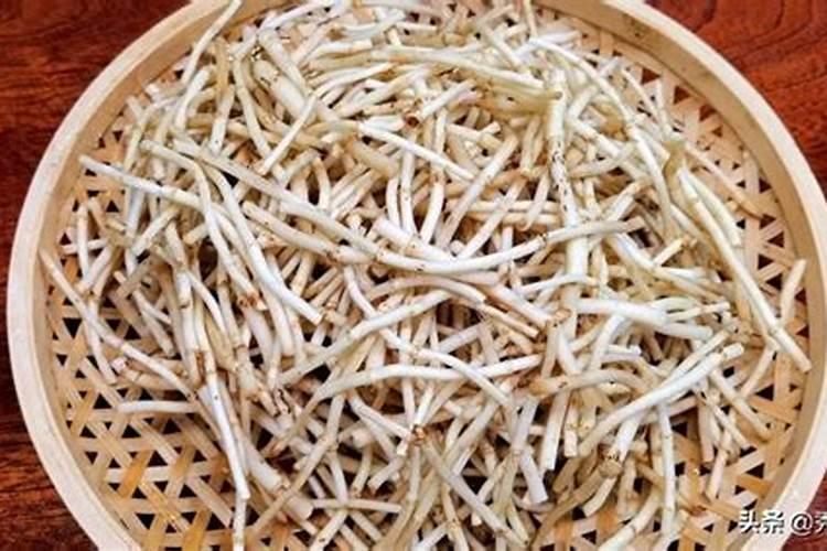 折耳根用什么肥料种植最好