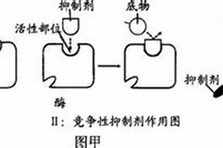 钾肥对植物的作用与功效