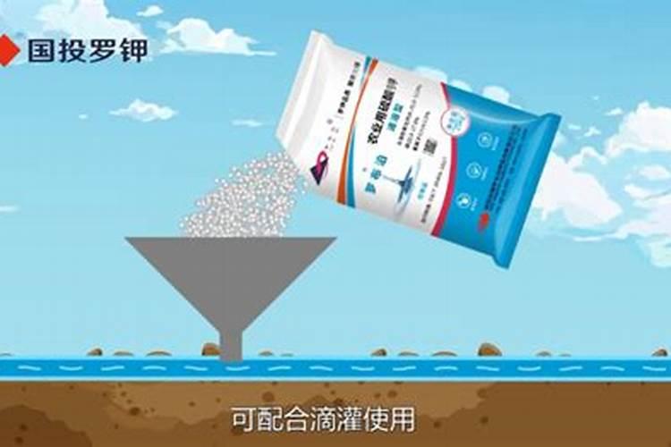 罗布泊硫酸钾镁肥的特点是什么？