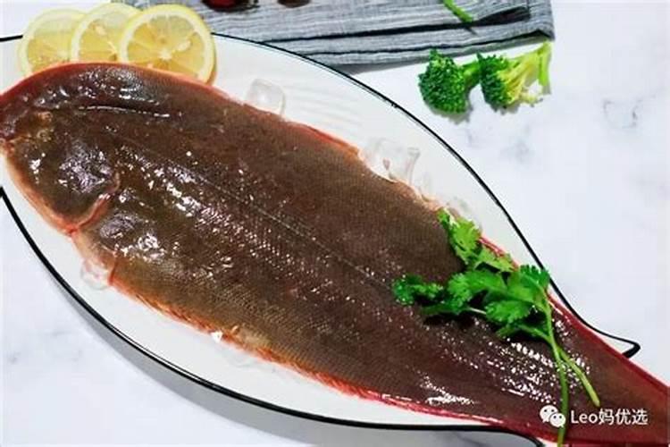 龙丽鱼营养价值