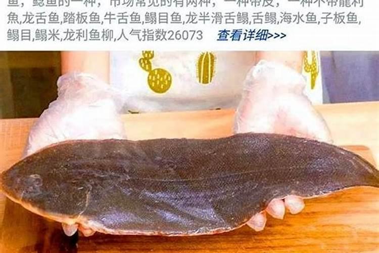 龙丽鱼营养价值