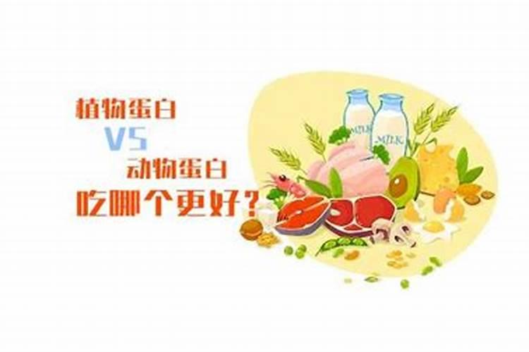 大豆发酵肥和鱼蛋白在植物上的区别