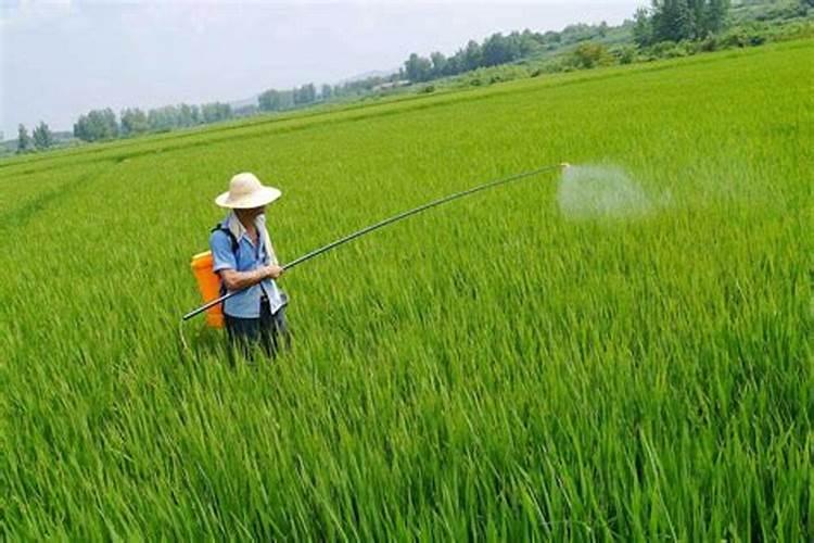 晋城那里有卖钾肥的地方