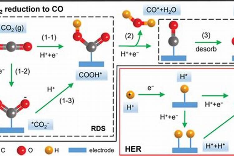 二氧化碳肥料有哪些