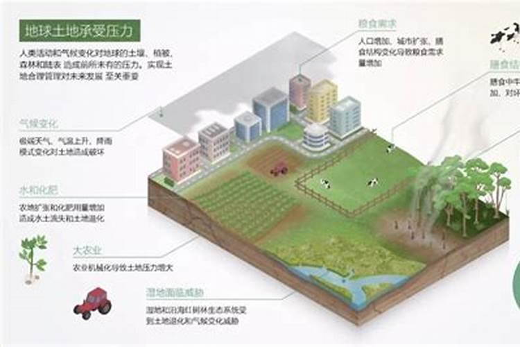 沙土地种大蒜最佳肥料