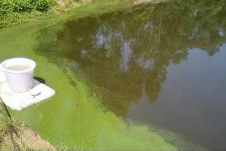 复合肥含氯与不含氯的区别