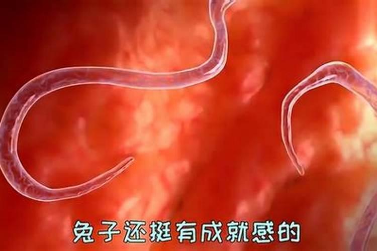 小麦打虫药什么时候打打什么药？