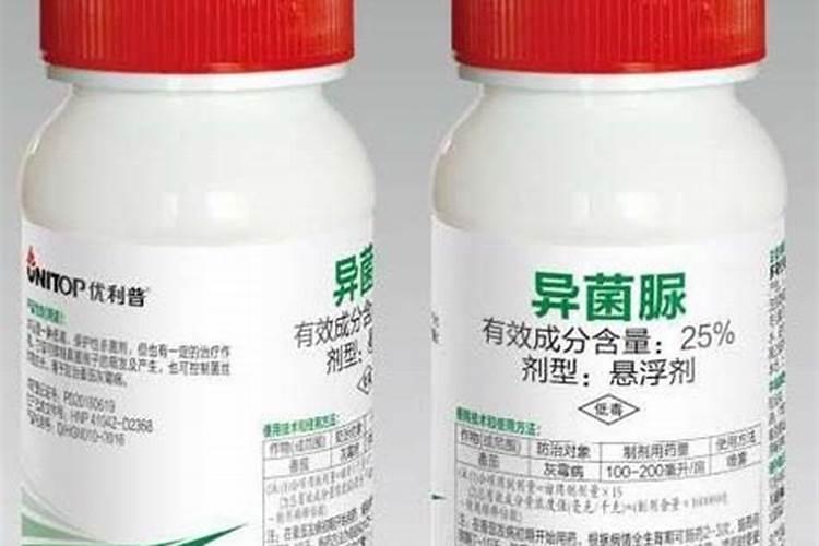 我的枣树今年有缩果病 炭疽病 用什么药越冬杀虫 什么用 怎么用？