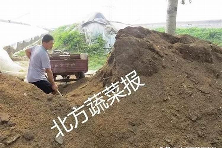 硼砂可以直接撒到土里做肥吗？