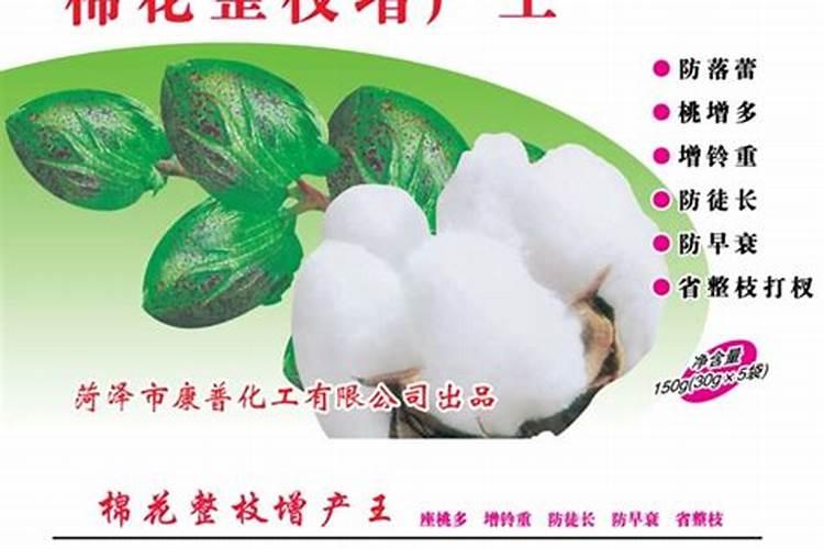 粮食概念股有哪些？