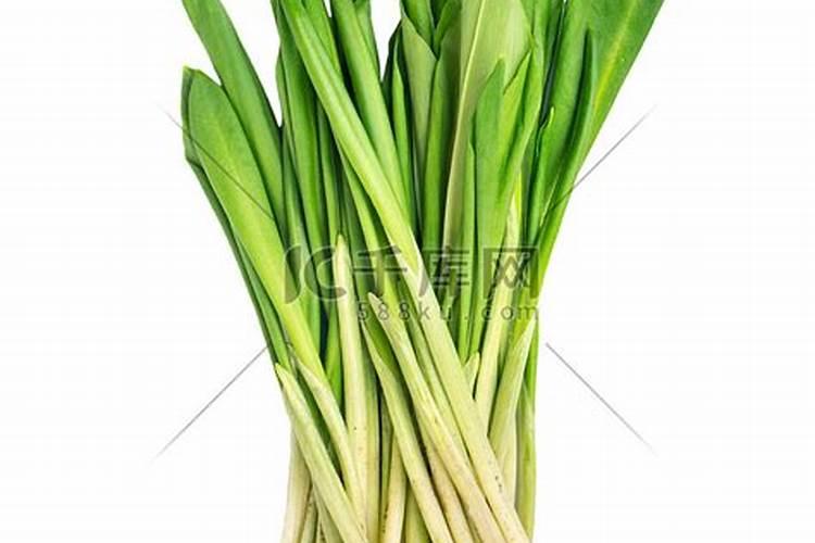 独头蒜是怎样种植出来的？有什么功效和作用？