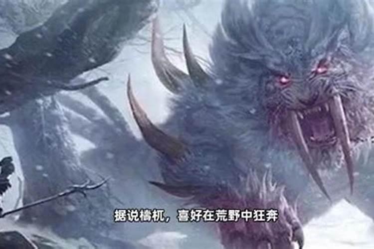 种植花生的底肥,使用硫酸钾的肥料高产还是氯化钾的肥料高产？