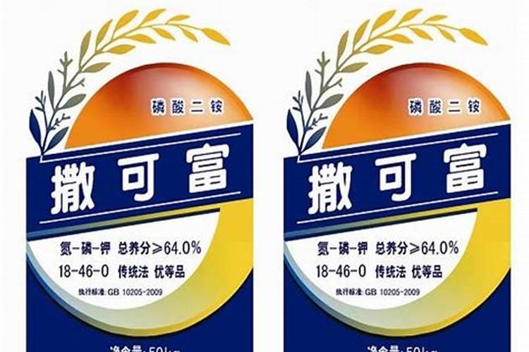 多肉秋冬季施肥方法 秋季如何给多肉施肥