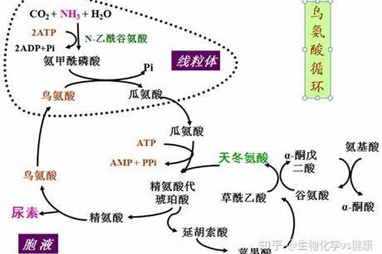 尿素能不能被认定为复合肥料