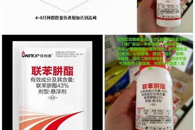 什么与锐收果香搭配可收获最佳成效？