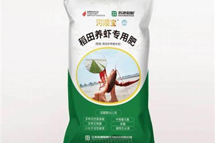 水稻穗肥什么时间施