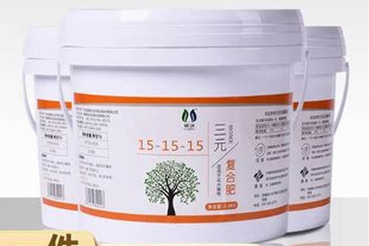 兰花不开花？和老师傅学3招“催花法”,年年有花,是真的吗？