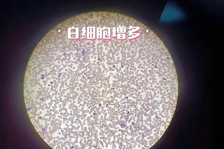 枣树笼枝了怎么治？