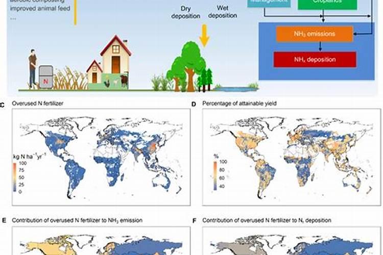 谁有生根壮苗效果比较好的水溶肥？