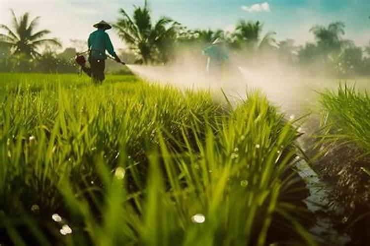 硫酸铜钙可以和哪些农药混用