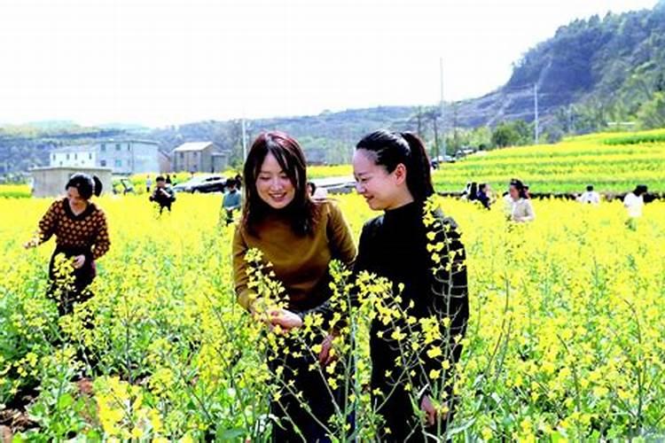 油菜施什么肥好？