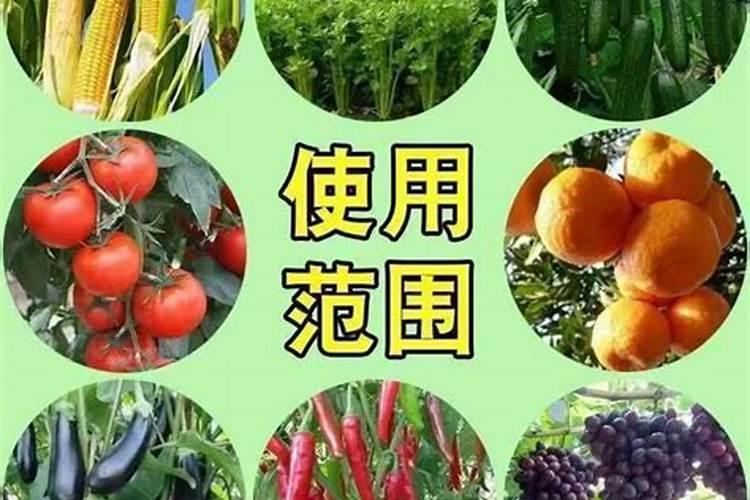 种红薯如何使用钾肥