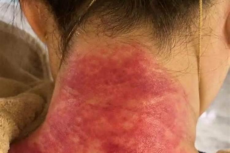 荷花粉蜂花粉小百科