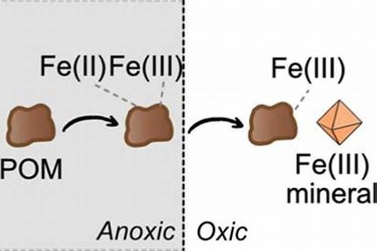 勇敢去追是什么歌的歌词