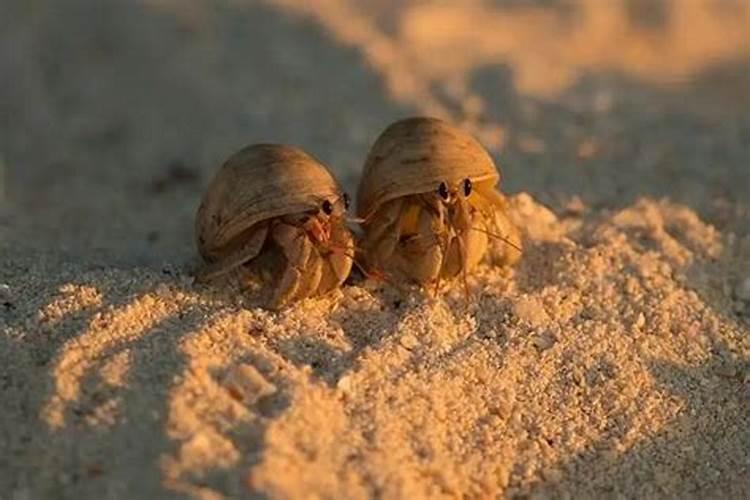 烹饪方法总共有多少种？