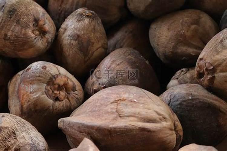 沉香种子能储存多久