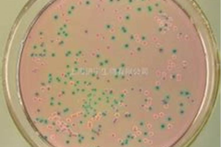 自然地的肥料效果咋样？看到周围有人用,不知道靠不靠谱