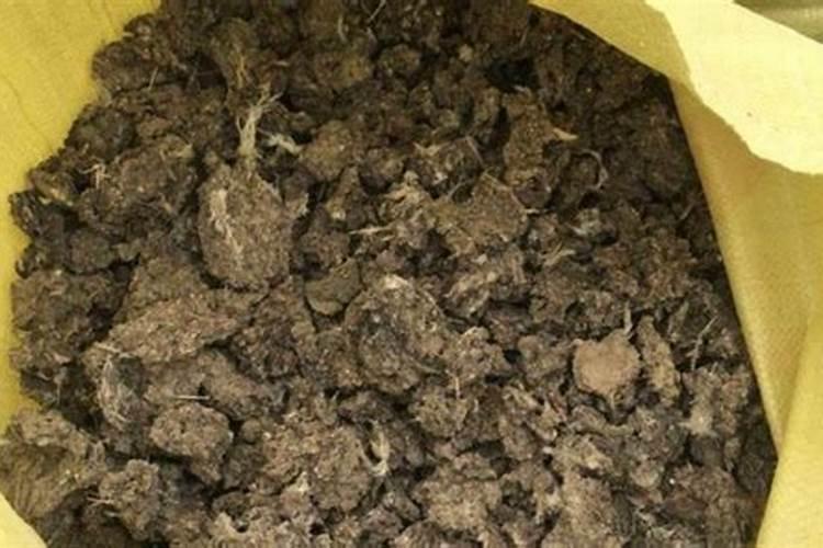 羊粪属于氮肥还是磷肥