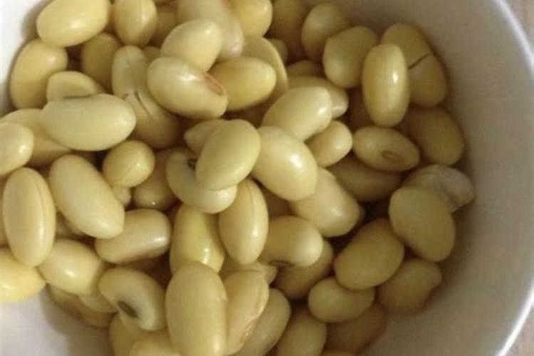 泡黄豆水浇花好不好