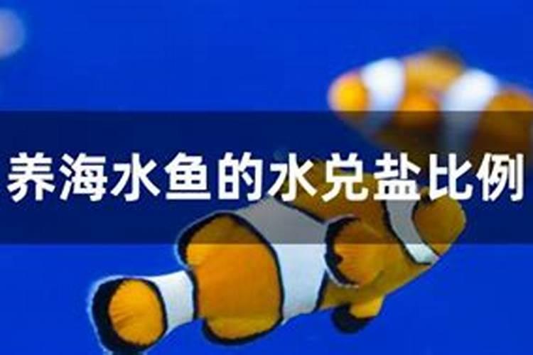 一株桃树施多少鱼蛋白水溶肥