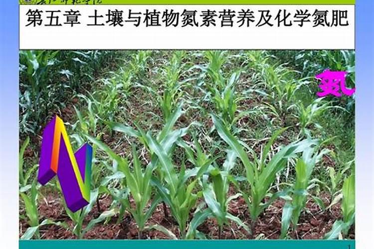 葱属植物(葱和韭)叶片割除后为什么可以再生？
