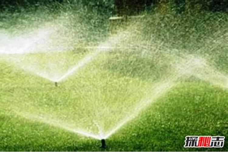 草坪一般怎么施肥,一般用量是多少,一年用几次肥