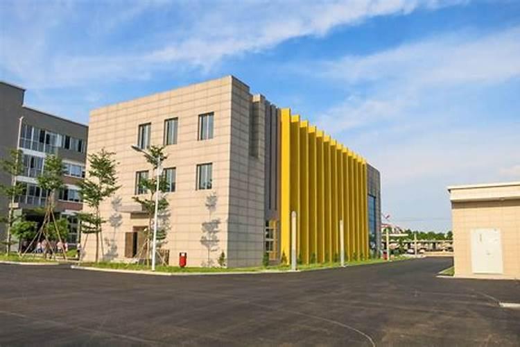 硅肥什么牌子最好