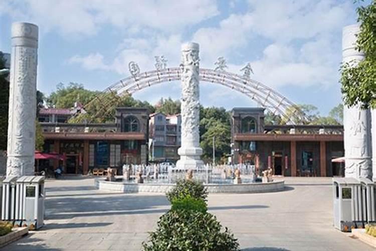 白菜上有白菜的斑块是缺钙了吗？用什么微量元素水溶肥给白菜补钙？