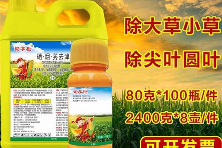 打吧除草剂建苗最简单三个步骤