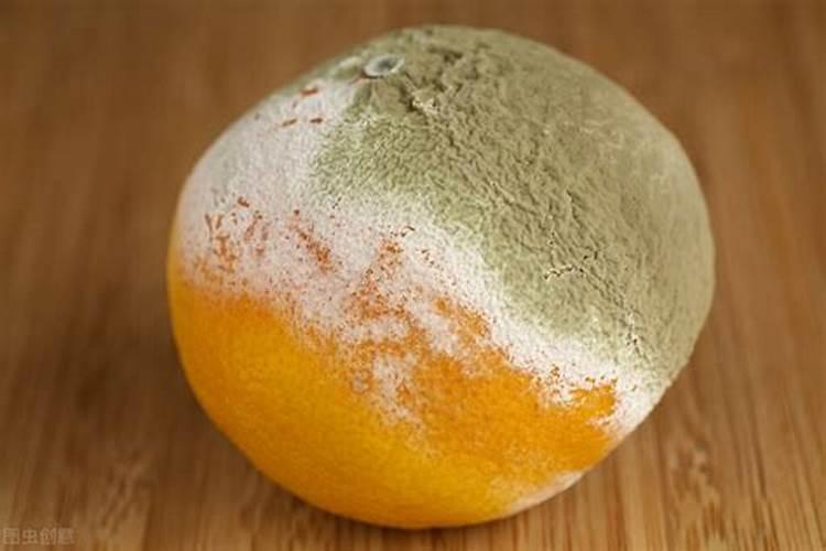 1块果皮扔盆里,花长得又壮又猛!