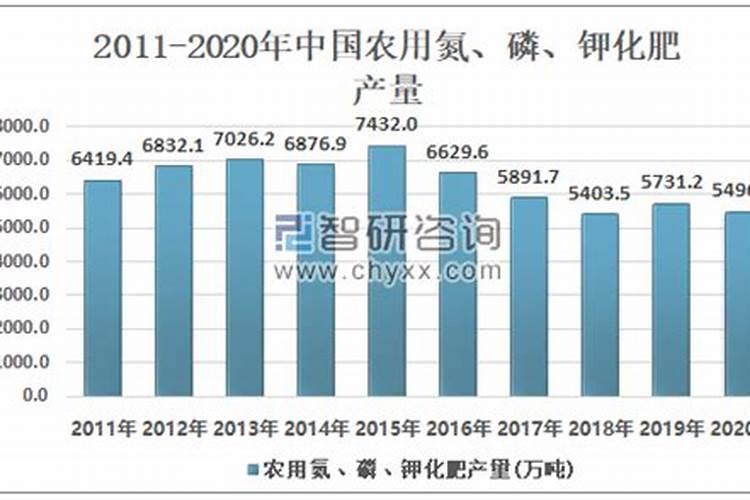 盆栽蜜桔怎样剪枝