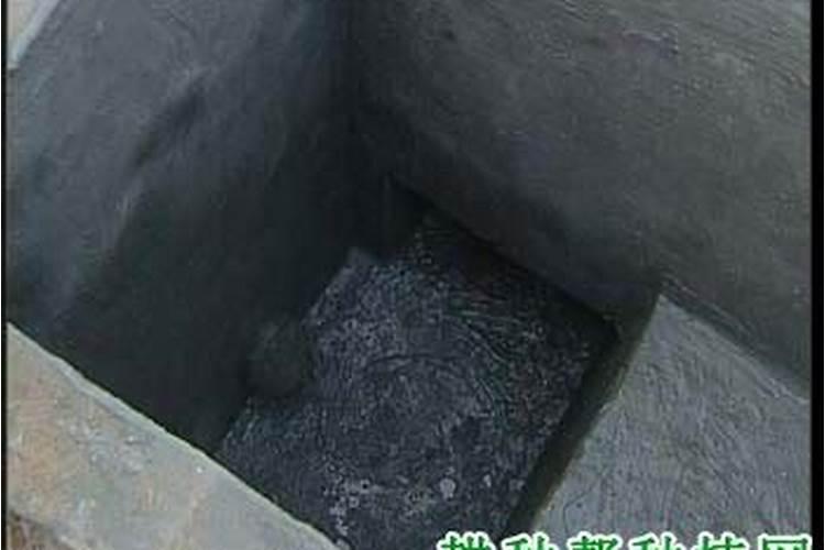 果树专用肥有哪几种